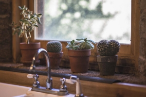 Bright Water For Plumbing And Gas - kitchen sink surrounded with succulent