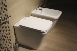 Bright Water For Plumbing And Gas -two bathroom bowl